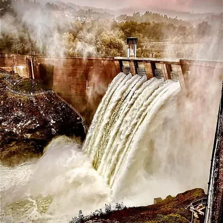 Refugio Da Carvalha *