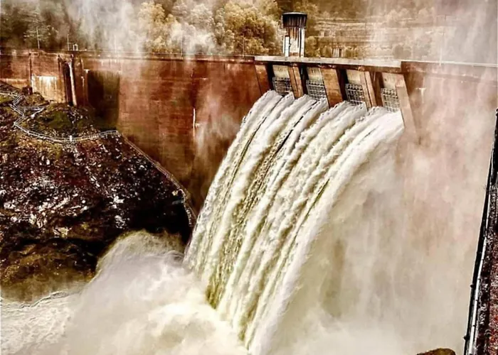 Refugio Da Carvalha *